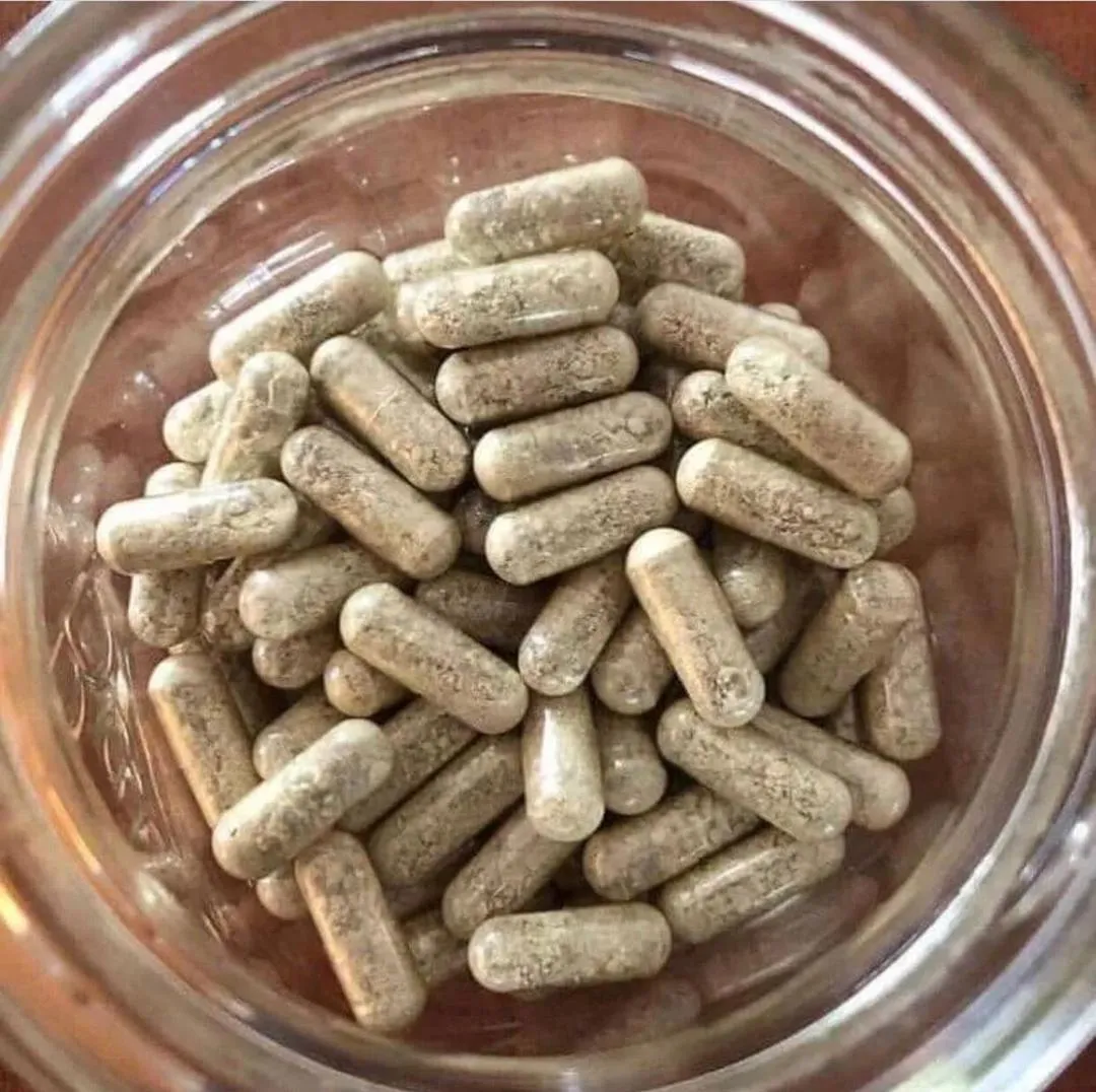 ibogaine — CA news